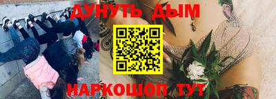 mdpv Кандалакша