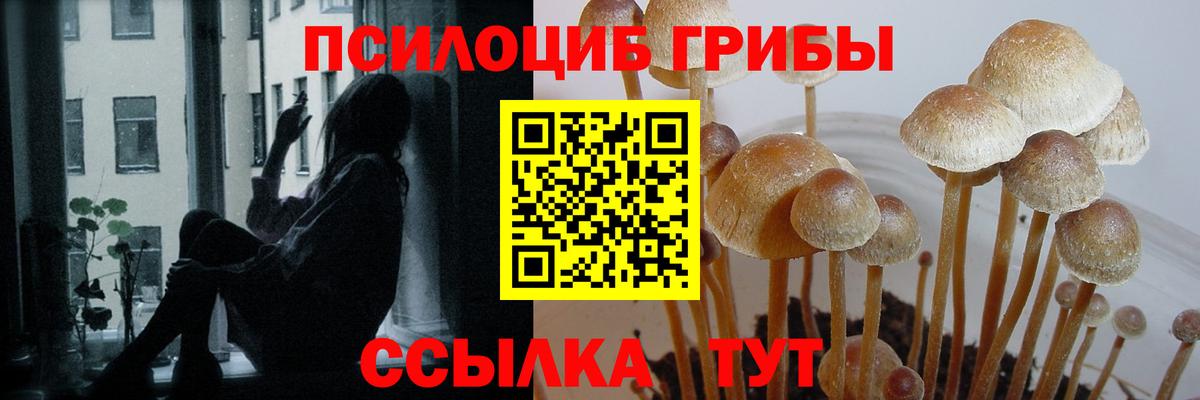Переславль-Залесский  Псилоцибиновые грибы Psilocybine cubensis  как найти наркотики  Псилоцибиновые грибы Magic Shrooms  Вход с VPN 
